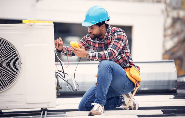 Best Electric Panel Repair  in Genoa, AR